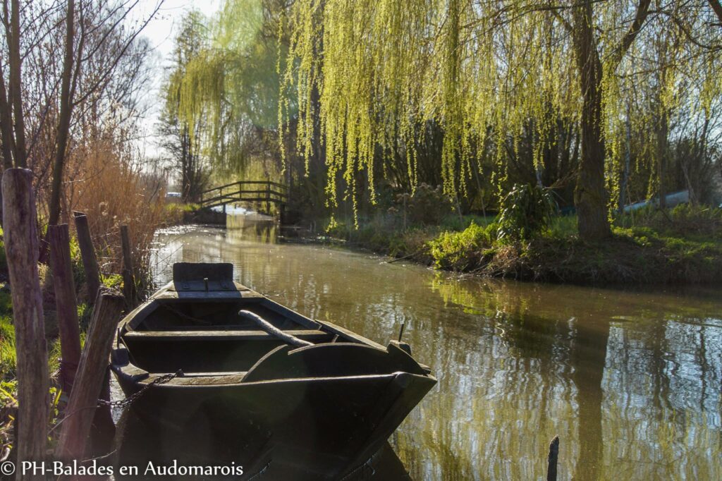 Bacôve traditionnelle sur un canal du marais audomarois