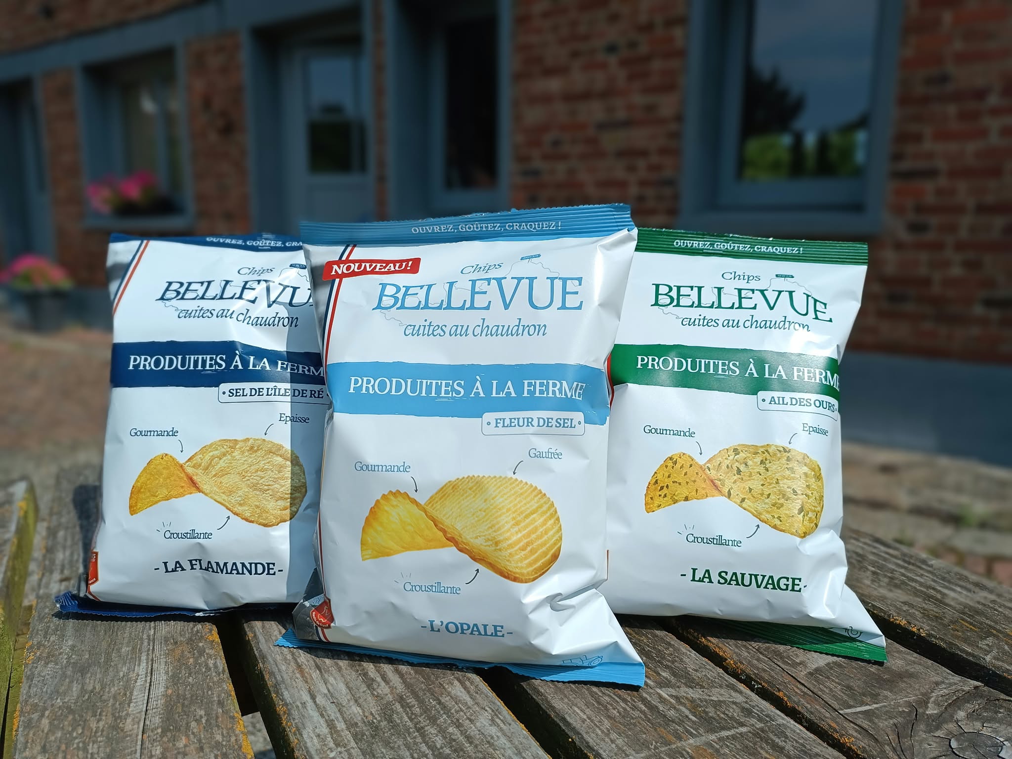 le bloemstraete chips Bellevue