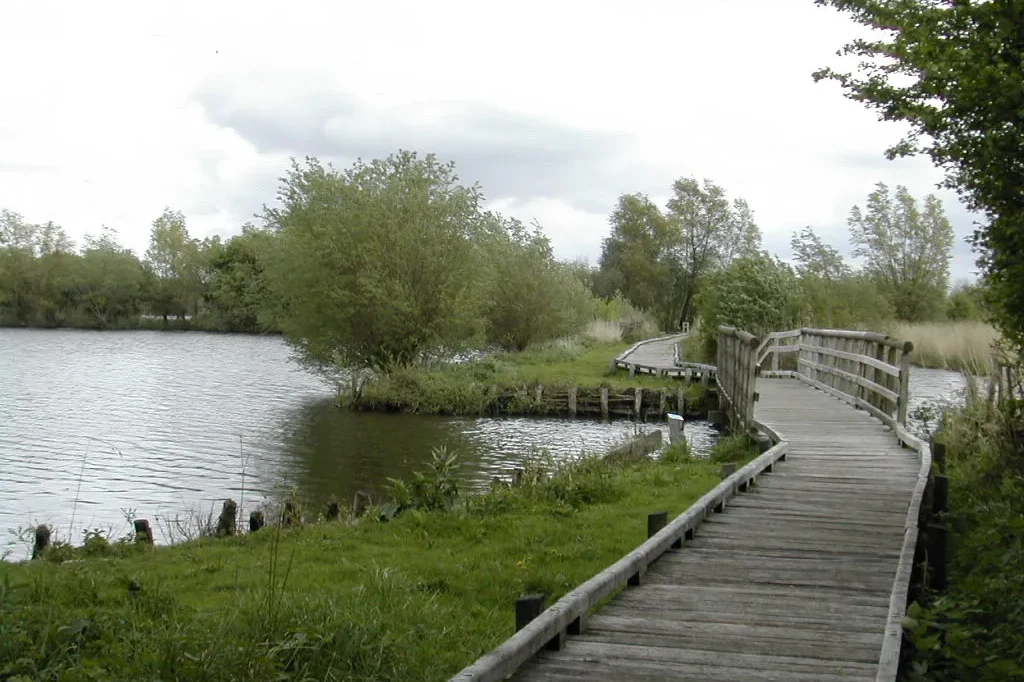 Passerelle dans la réserve naturelle du Romelaëre