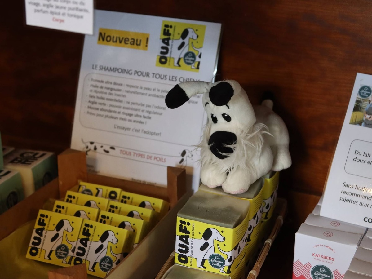 savonnerie-flandres-savon-chien